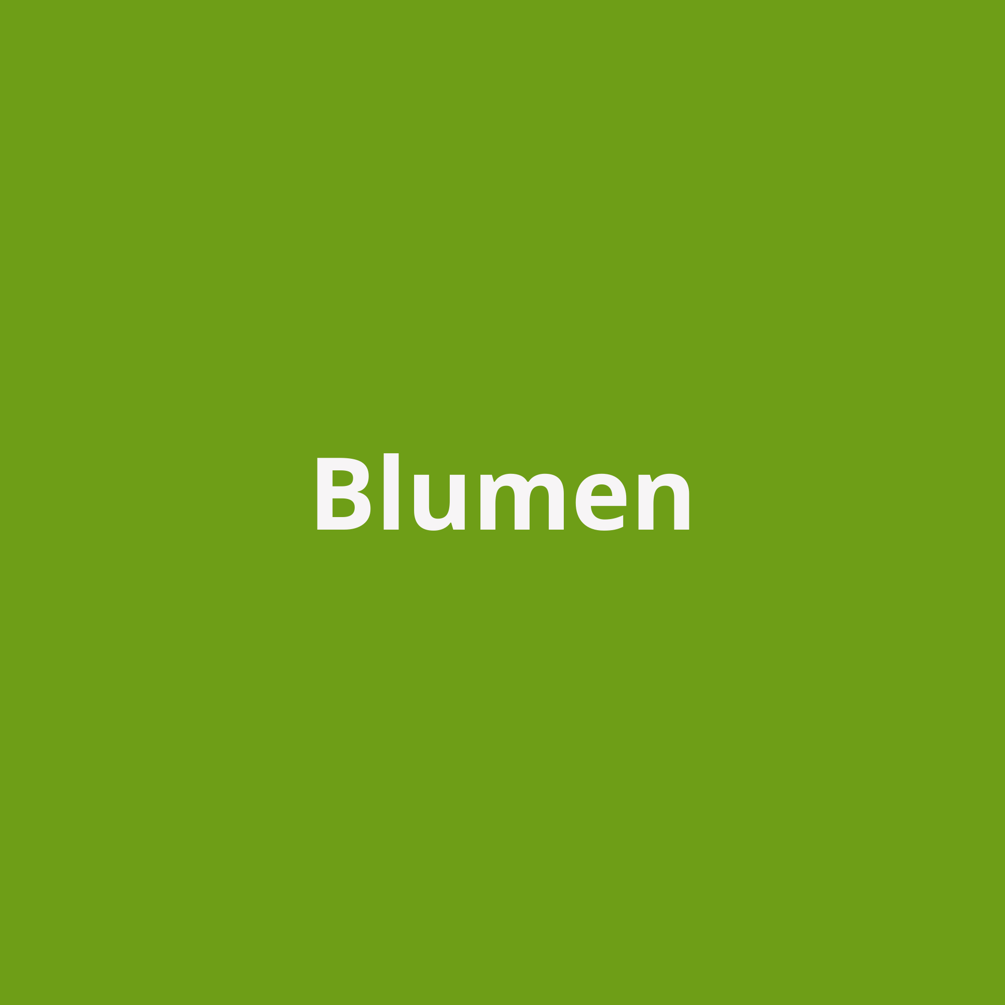 Blumen 1000x1000 px