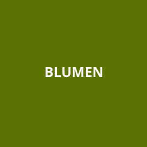 Blumen Head