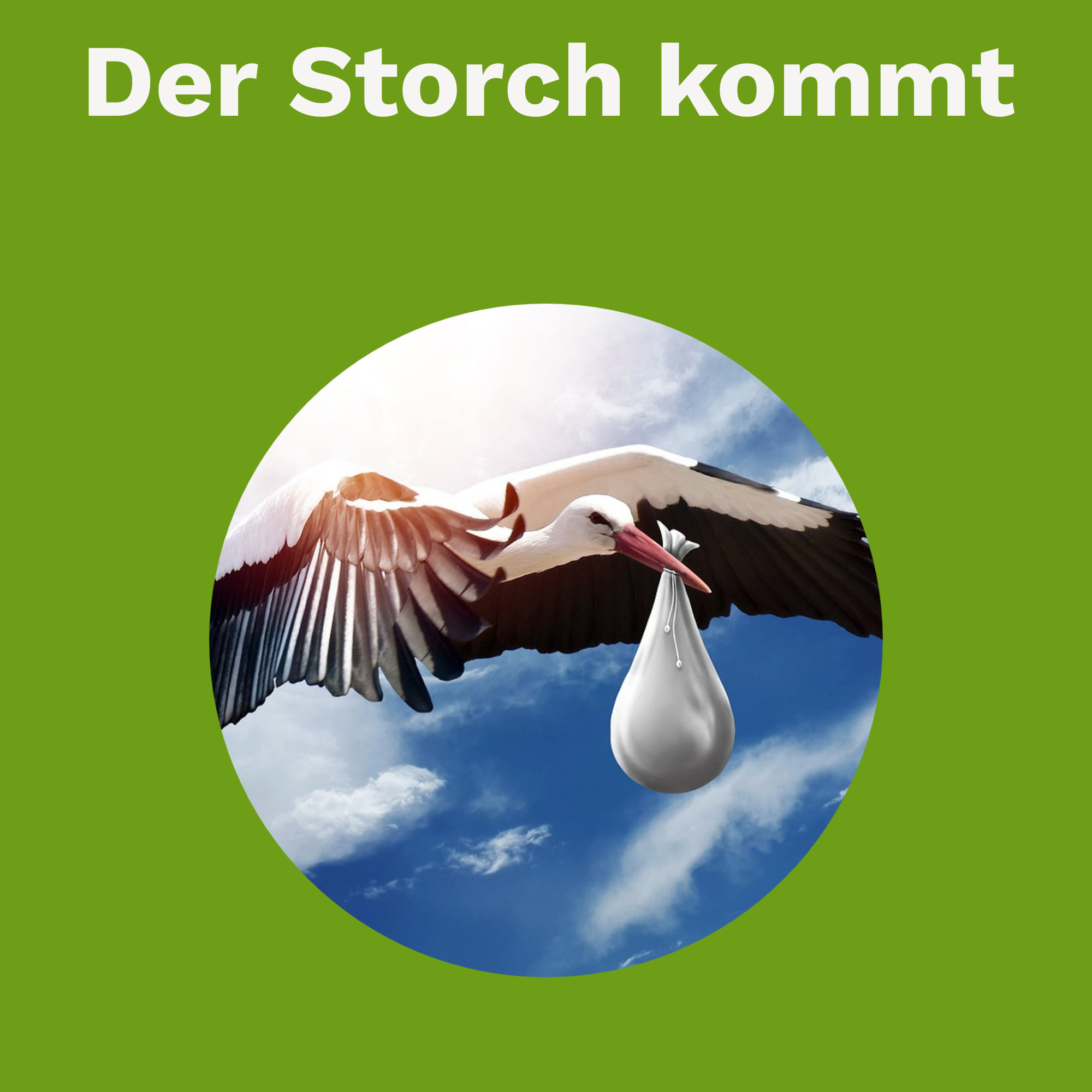 Der Storch kommt