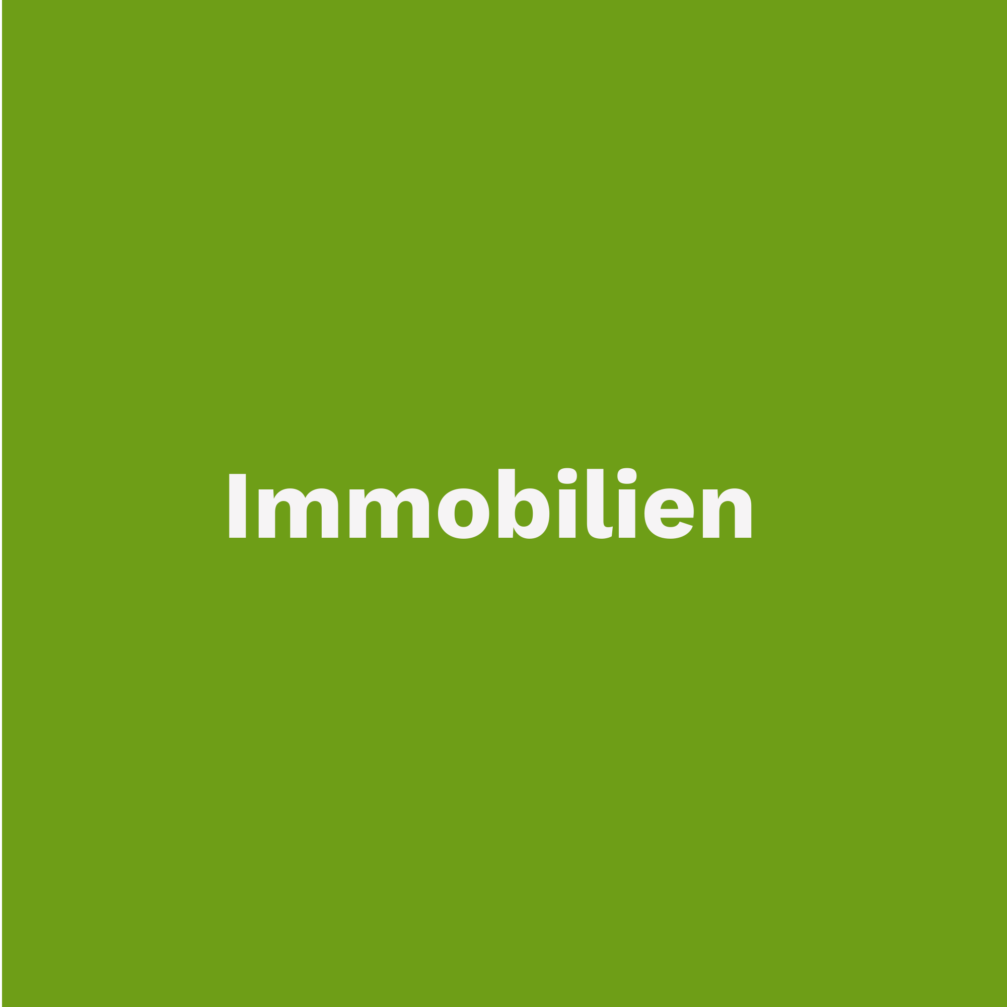 Head Immobilien