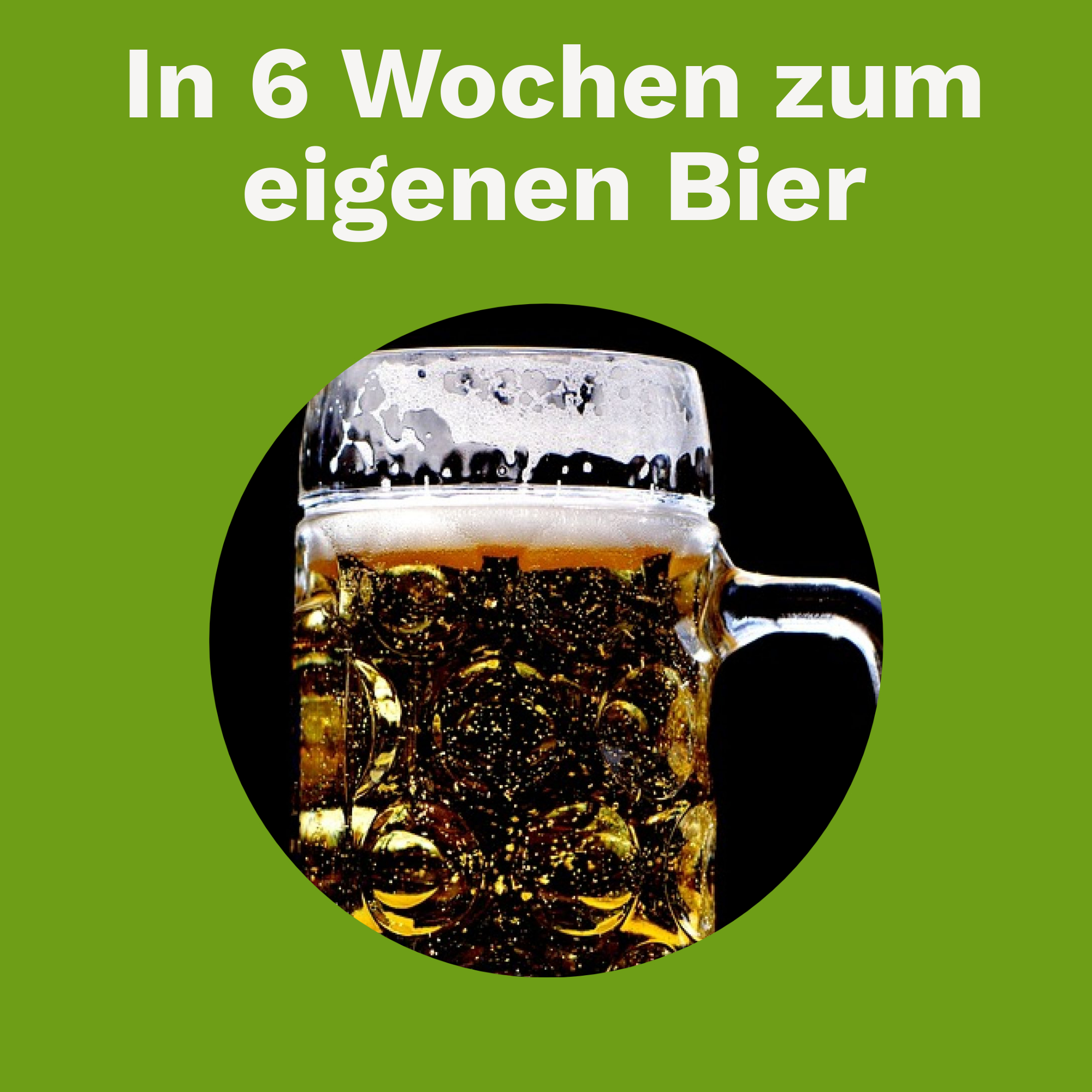 In 6 Wochen zum eigenen Bier